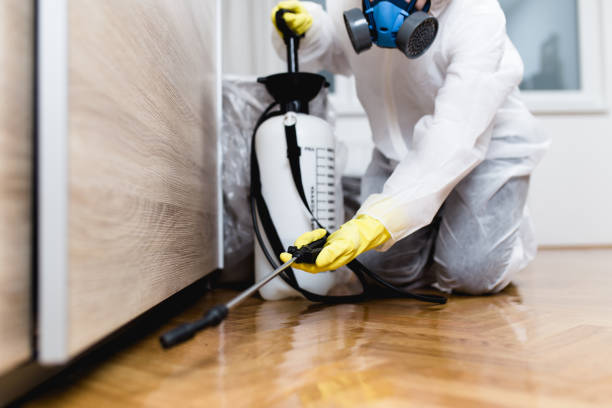 Pest Prevention Services in Paducah, KY