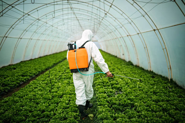 Best Commercial Pest Control Services  in Paducah, KY