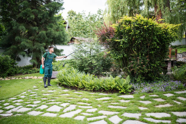Best Mosquito Control Services  in Paducah, KY