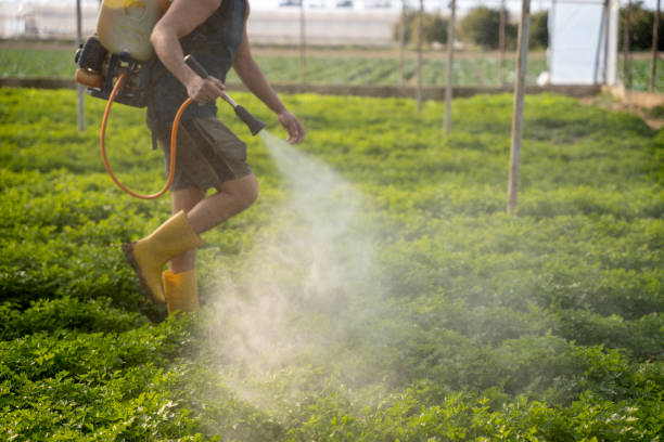 Best Pest Control Cost  in Paducah, KY