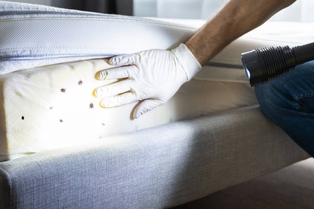 Best Exterminator Services  in Paducah, KY