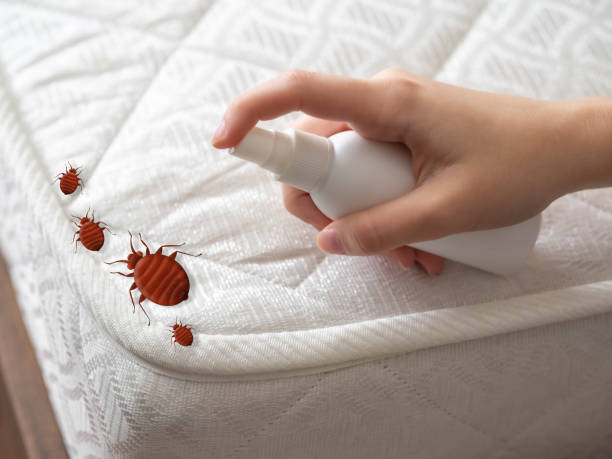 Best Affordable Pest Control Services  in Paducah, KY