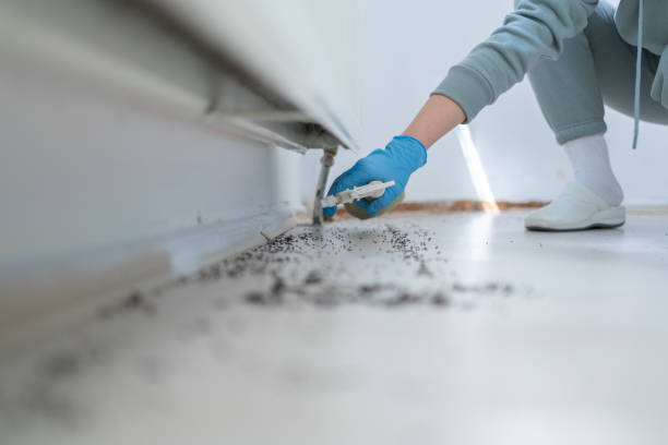 Best Pest Removal Services  in Paducah, KY